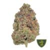 Hidden hills 2g