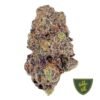 Hidden hills 2g